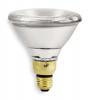 Halogen Lamps and Bulbs