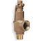 Safety Relief Valve 1 x 1-1/4 Inch 150 Psi