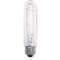 Incandescent Light Bulb T10 15w