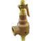 Safety Relief Valve 1-1/2 x 2 Inch 100 Psi