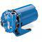 240 to 480 VAC Totally Enclosed Fan-Cooled Centrifugal Pump, 3-Phase