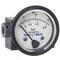Differential Pressure Gauge, With Switch, CPVC, 0 To 30 Psid Range