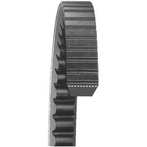 Dayco v 2024 belts cross reference