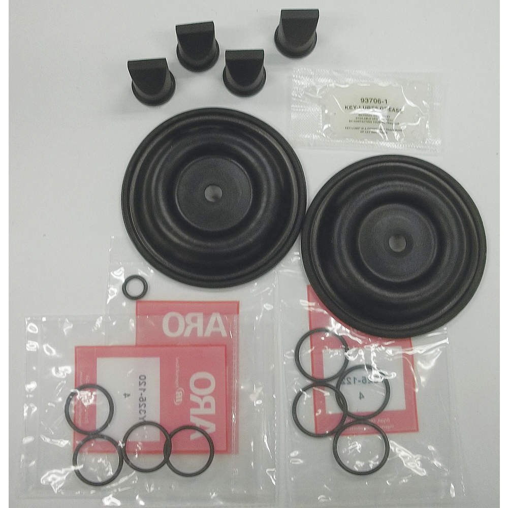 Diaphragm Pump Repair Kit