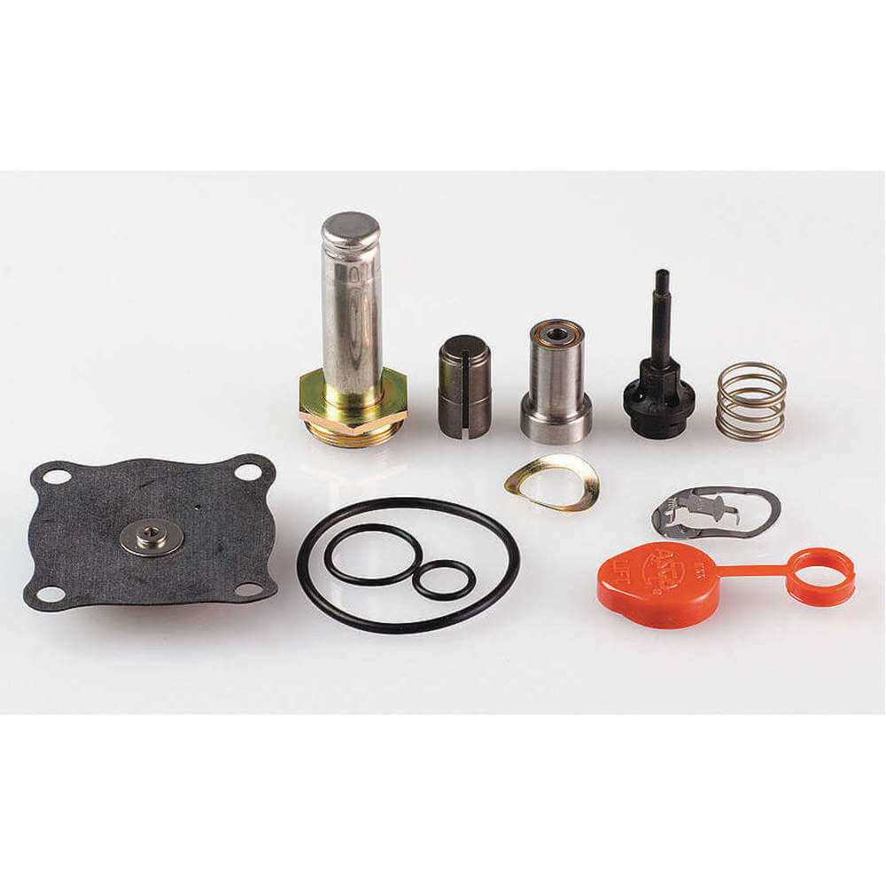Asco Valves 302334 1AKU8 Valve Rebuild Kit With Instructions