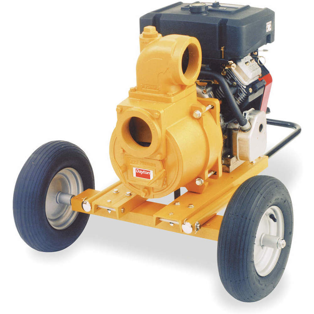 Dayton 3P653 Pump Trash 13 Hp