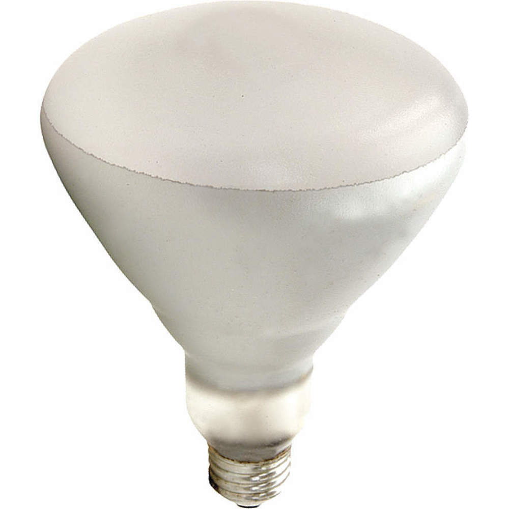 SHAT-R-SHIELD Incandescent Lamps and Bulbs