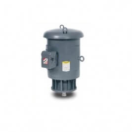 Baldor Vertical Pump Motors Raptor Supplies Worldwide