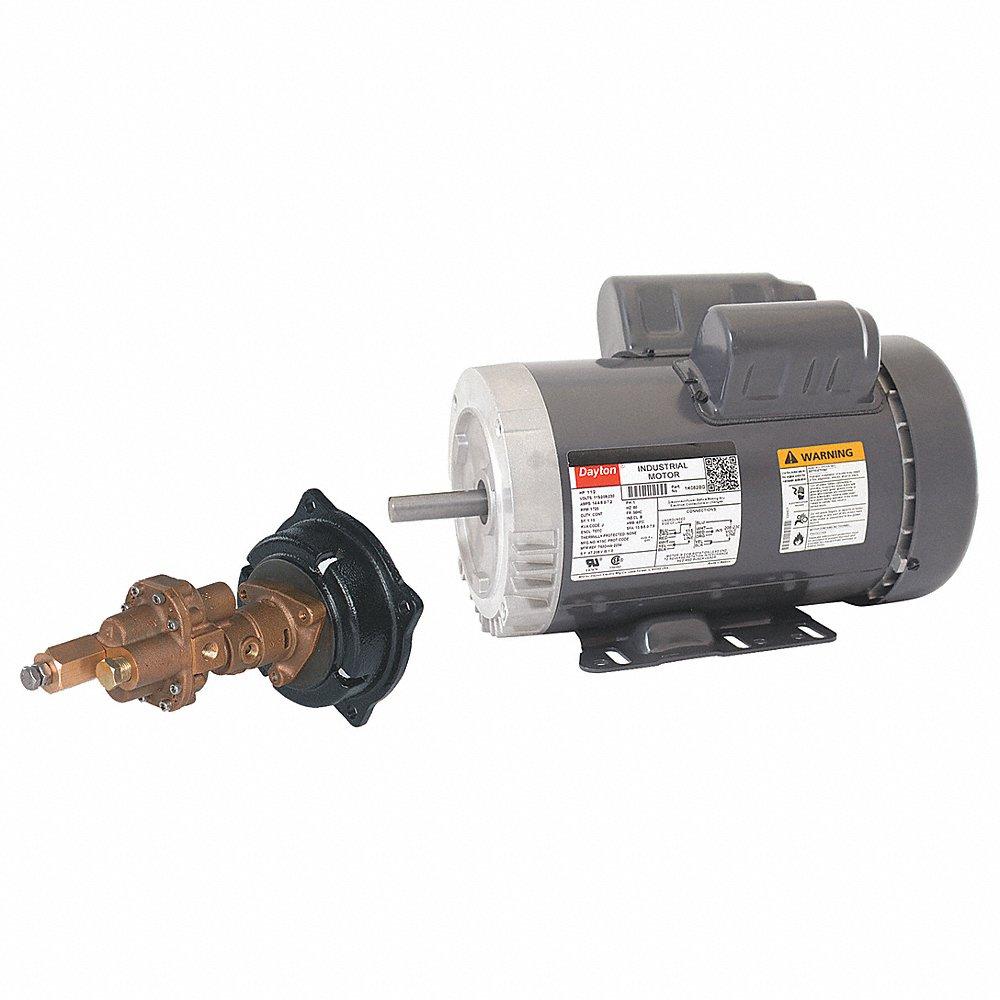 Dayton Rotary Gear Pumps Raptor Supplies Worldwide