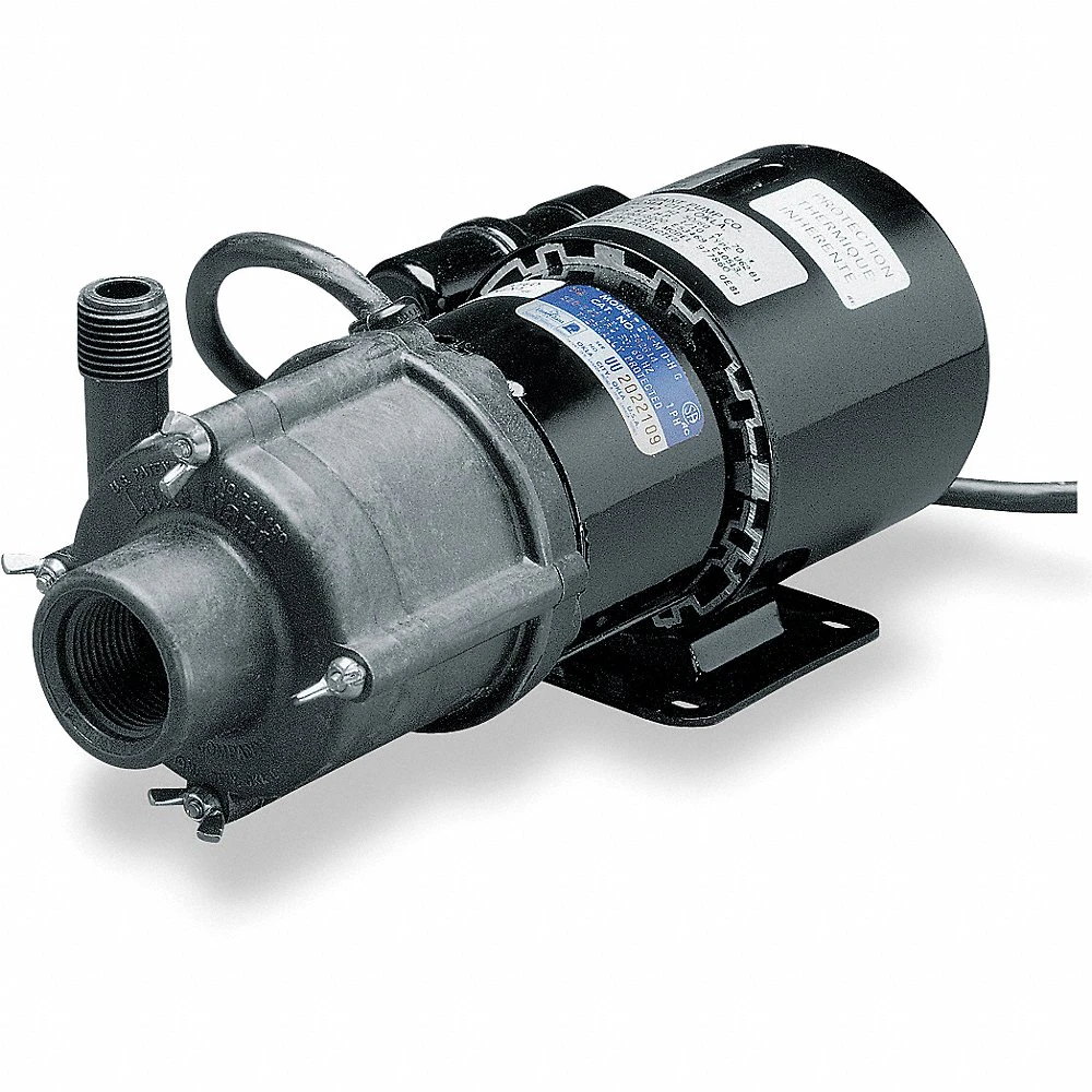 https://cdn.raptorsupplies.com/pub/media/catalog/product/little-giant-pumps-582603.webp