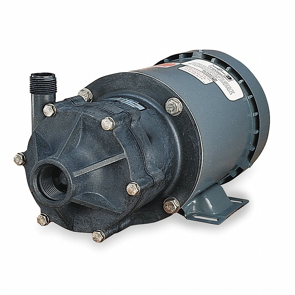 https://cdn.raptorsupplies.com/pub/media/catalog/product/little-giant-pumps-586604.webp