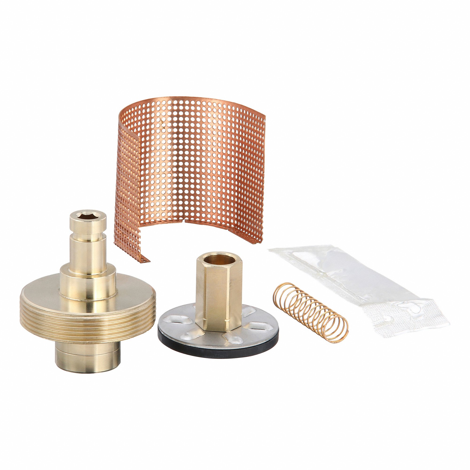 Valve Repair Kits, Bronze, 40 Deg F to 200 Deg F