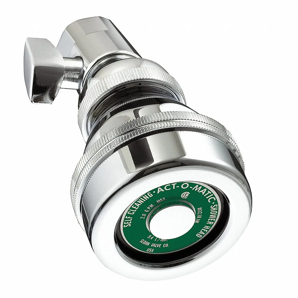 Showerhead Brass 2 Gpm Self Cleaning