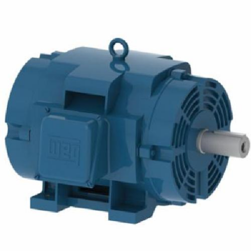 General Purpose Motor, ODP Cast Iron 404/5T Frame, 75 HP, 1485 RPM, 415 V
